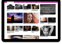 custom wordpress website fc