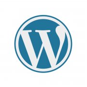 wordpress wordpress cms